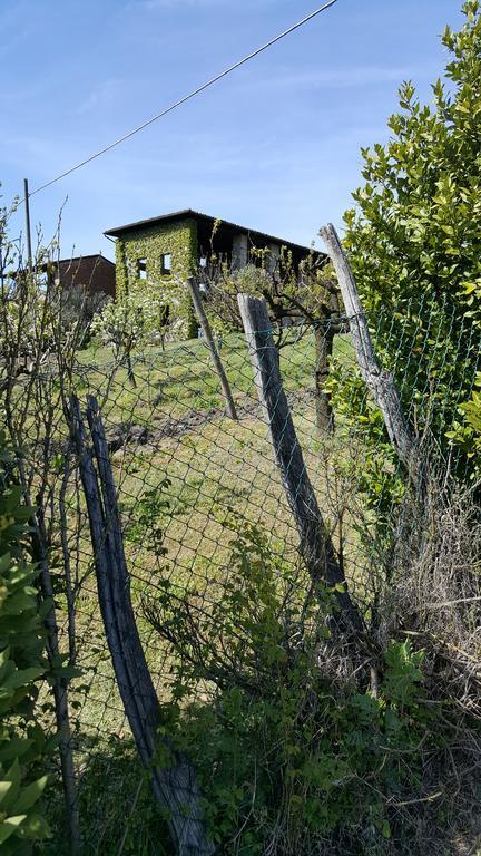 La Torretta - Cerreto Grue Bed and Breakfast Sarezzano Eksteriør billede